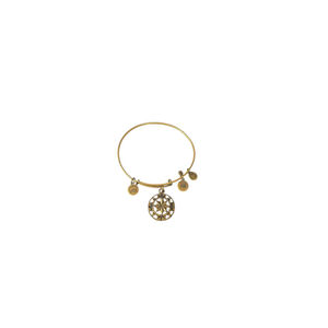 Women's Alex and Ani Gold Compass Charm Bangle Bracelet One Size